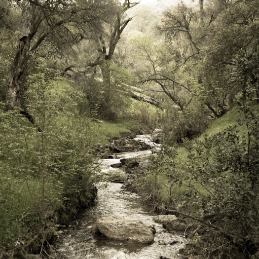 Paul Long Photo 16