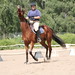 Sue Sorrell Photo 8