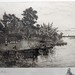 Robert Robertson Photo 21