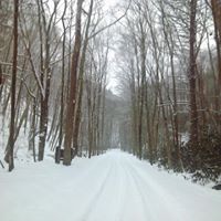 Ann Groves Photo 25