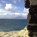 Regina Capo Photo 5