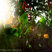 Heidi Flora Photo 10