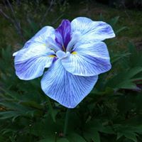 Kenneth Winter Photo 8