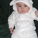 Connor Lamb Photo 6