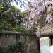 Barbara Lear Photo 21