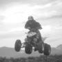Randy Torres Photo 37