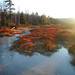 William Rothrock Photo 21