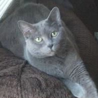 Martha Sparkman Photo 5