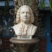 Jane Bach Photo 11