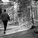 Kim Loop Photo 14