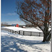 Lisa Winters Photo 8