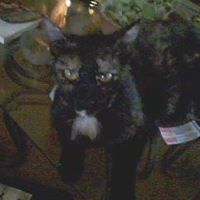 Doris Wheeler Photo 8