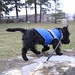 Bruce Atkins Photo 21