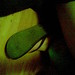 Eda Beams Photo 6
