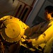 Woong Kim Photo 7