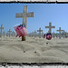 Barbara Qualls Photo 5
