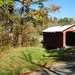 Autumn Bell Photo 40