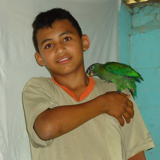 Rafael Dejesus Photo 4