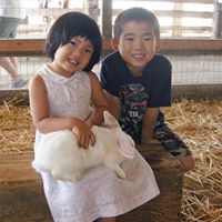 Christine Ho Photo 38