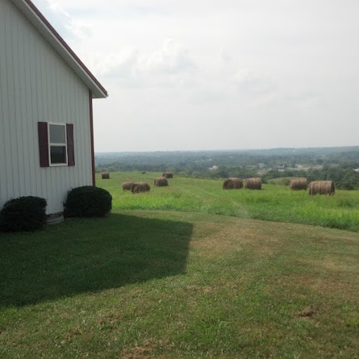 Tony Whaley Photo 6