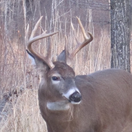 Duane Banks Photo 4
