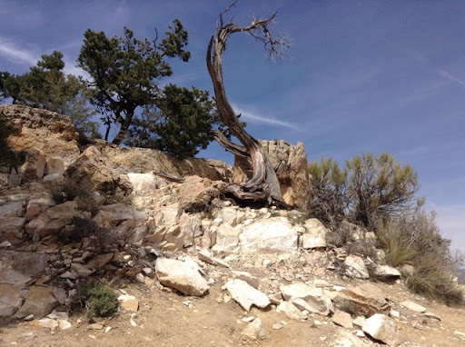 Beverly Lowe Photo 27