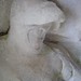 Mary Knight Photo 46