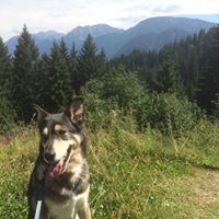Elbert Jenkins Photo 12