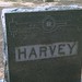 George Harvey Photo 12