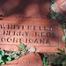 Anne Herndon Photo 20