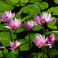 Venkat Hari Photo 13