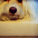 Eleanor Luna Photo 3