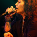 Linda Morrison Photo 10