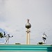 Michael Aronson Photo 19