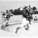 Mike Livingston Photo 33