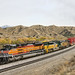 Mark Whitt Photo 36