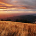 Mary Peak Photo 10