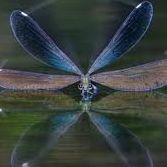 Tracy Gooch Photo 10