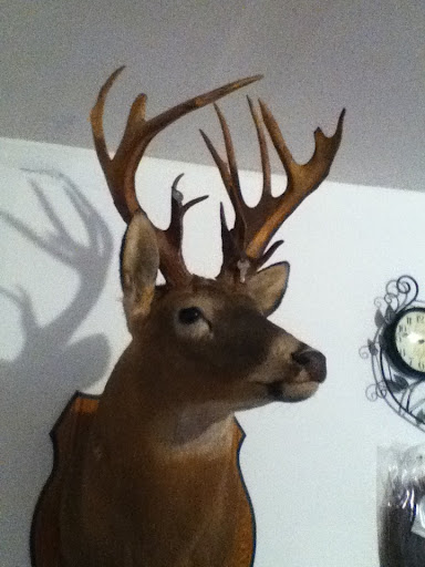 Brian Vaughn Photo 37
