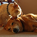 Jack Winters Photo 15