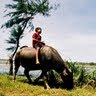 Phu Hoang Photo 3