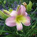 Catherine Singleton Photo 38