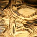 Jason Parr Photo 34