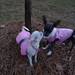 Jenny Akers Photo 12