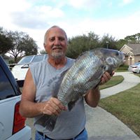 David Miceli Photo 21