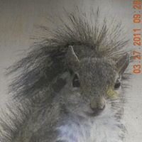 David Winter Photo 30