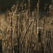 Valerie Frost Photo 8
