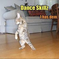 Shana Cowell Photo 5