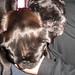 Colleen Winslow Photo 11