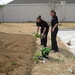 Sherrie Freeman Photo 17